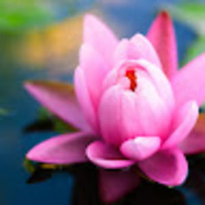 Meet your Posher, Jennie